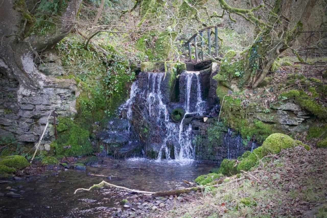 Waterfall Cottage Launceston Eksteriør billede